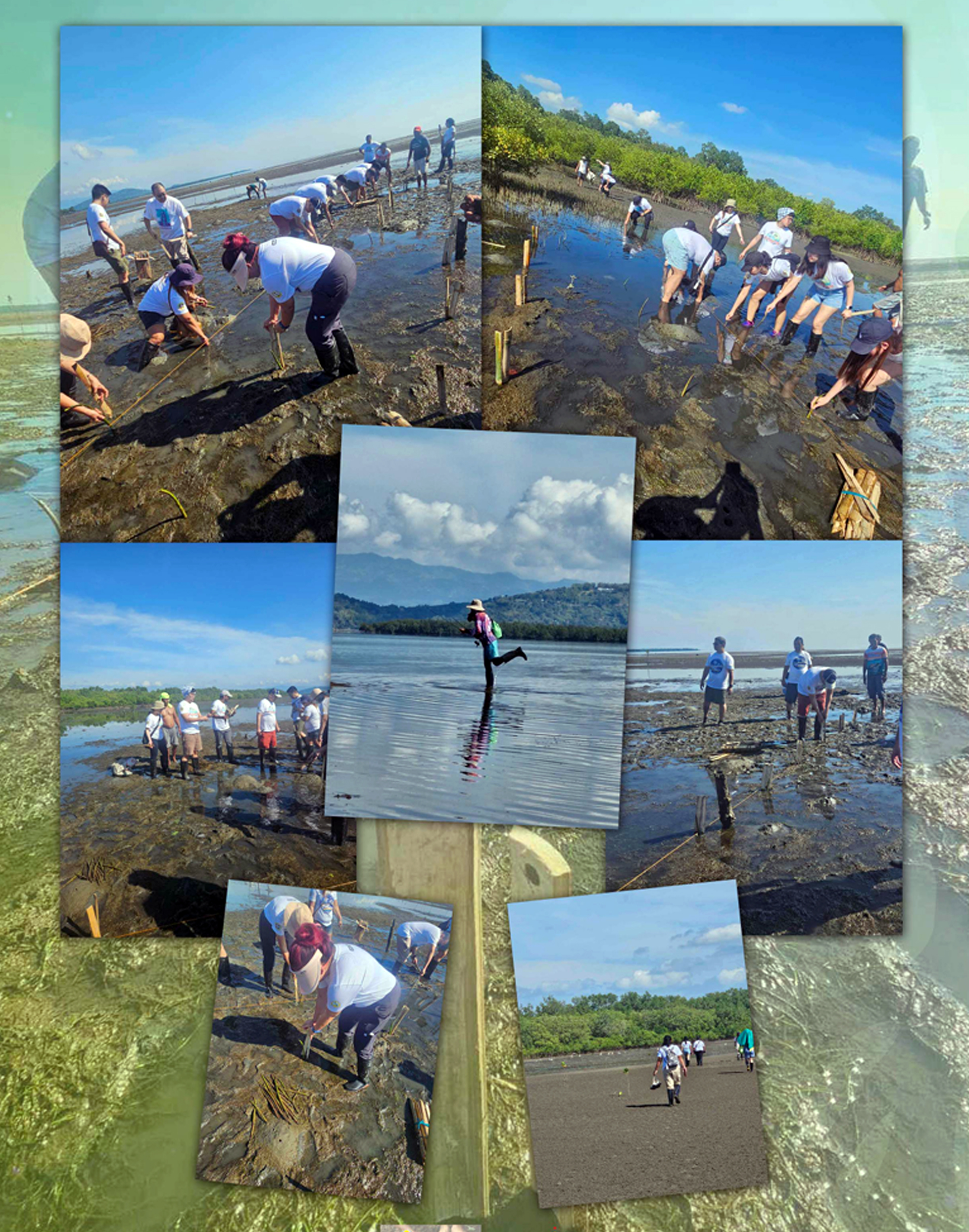 PCCP NEGROS AND 10,000 TREES